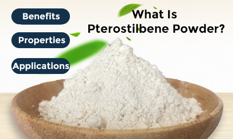 What Is Pterostilbene Powder? Benefits, Properties and Applications